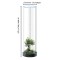 Circular Desktop Aquarium | Plug-and-Play Aquatic Wonderland 16*55cm